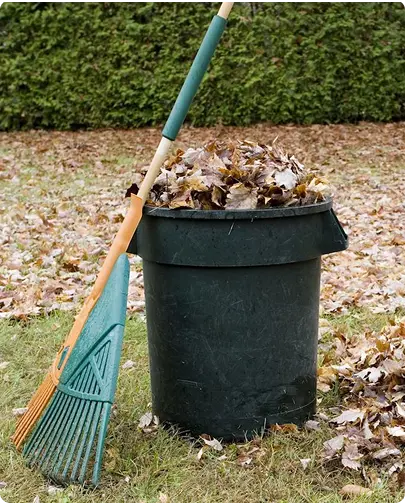 A bucket filled with colorful leaves sits next to a rake
